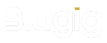 Blugig Logo
